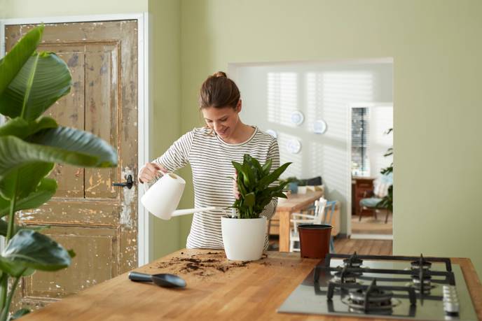 self-watering insert 17cm living black